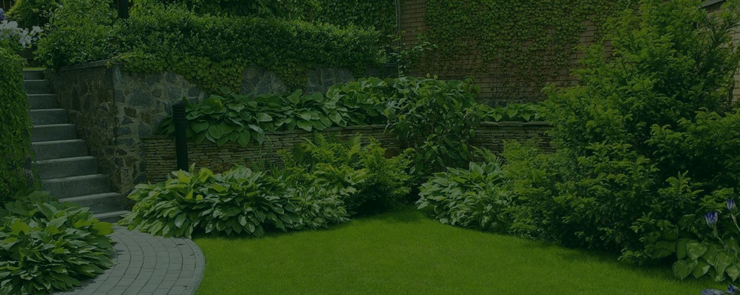 Grüne Gartenanlage mit Steintreppe und grauer Natursteinmauer